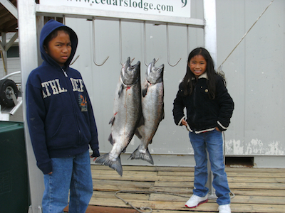 unhappy Hawaiian kids with 2 king salmon