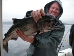 Ketchikan's Ugly King Salmon