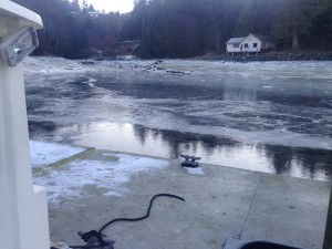 ketchikan salmon fishing