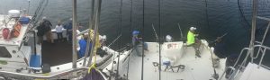ketchikan halibut fishing