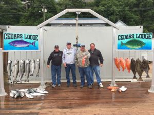 ketchikan salmon fishing