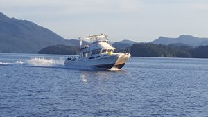 SeaSport Catamaran - Halibut fishing